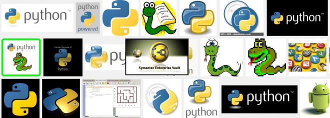 python_0.jpg