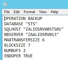 Netbackup SQL Script.jpg