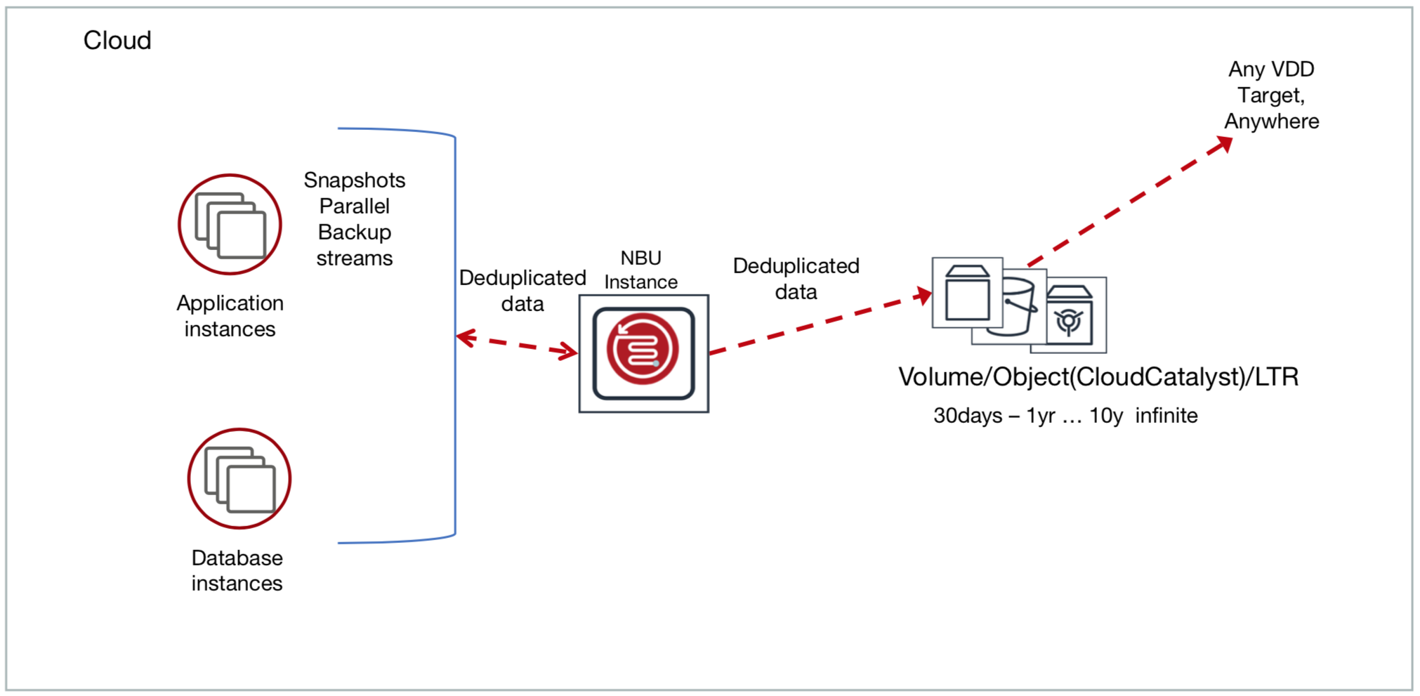 Optimize Data Delivery And Storage Veritas Netbac Vox