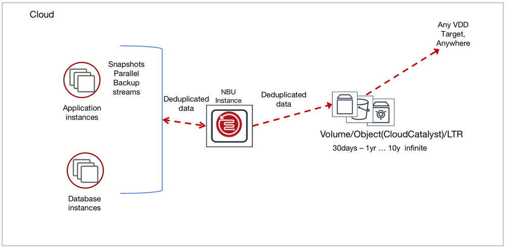 NetBackup architecture in the cloud.
