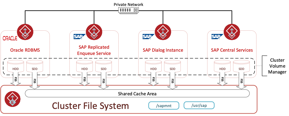 Figure 2. InfoScale Enterprise 4 node SAP and Oracle cluster using FSS