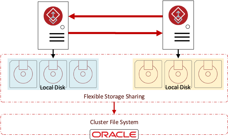 Figure 2 Shared Storage Created with Flexible Storage Sharing and Cluster File System