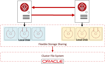 Figure 1 Flexible Storage Sharing and Cluster File System